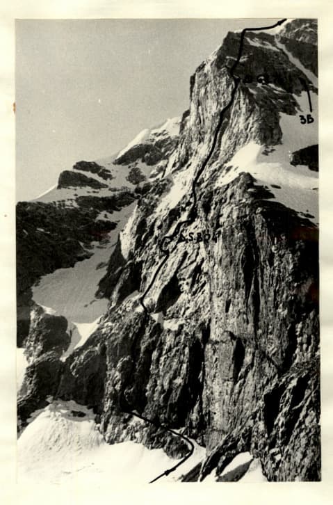 4_image_1.jpg