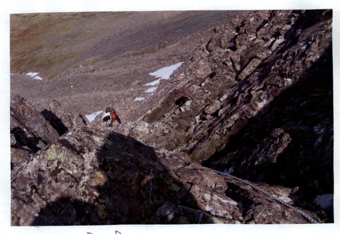 13_image_1.jpg