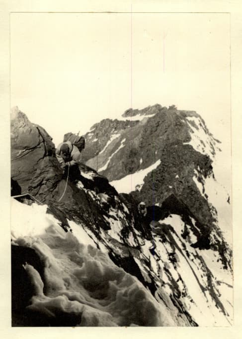 8_image_1.jpg
