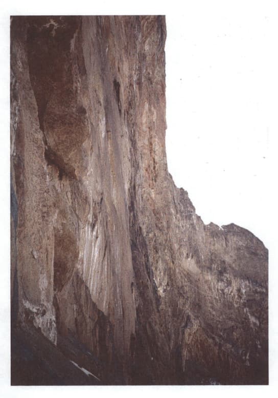 16_image_0.jpg