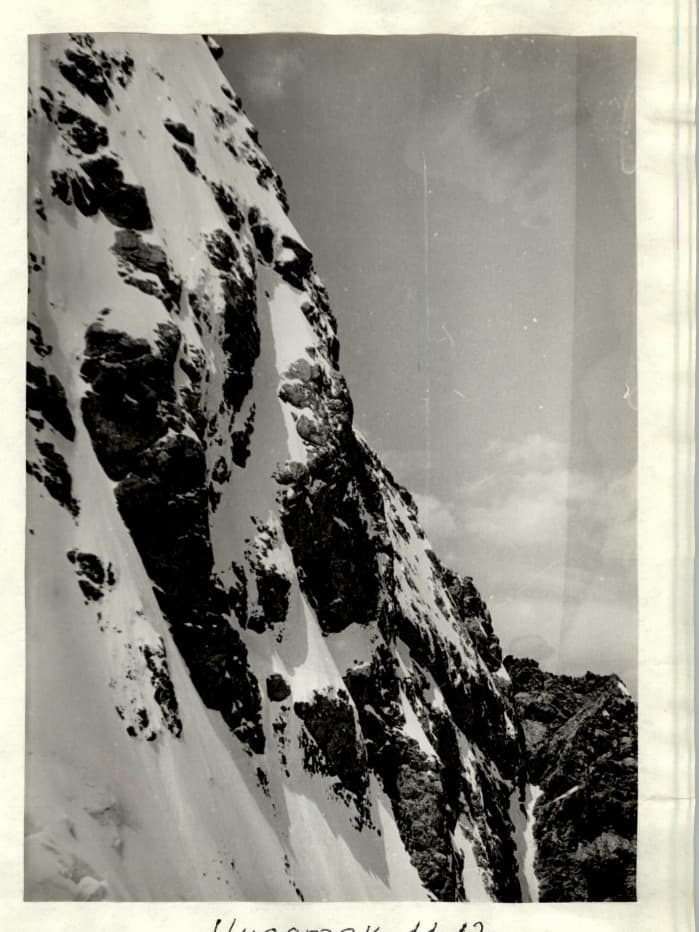 11_image_1.jpg