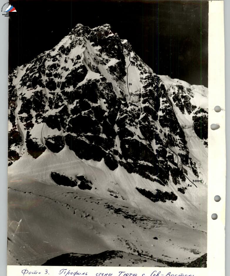 3_image_0.jpg