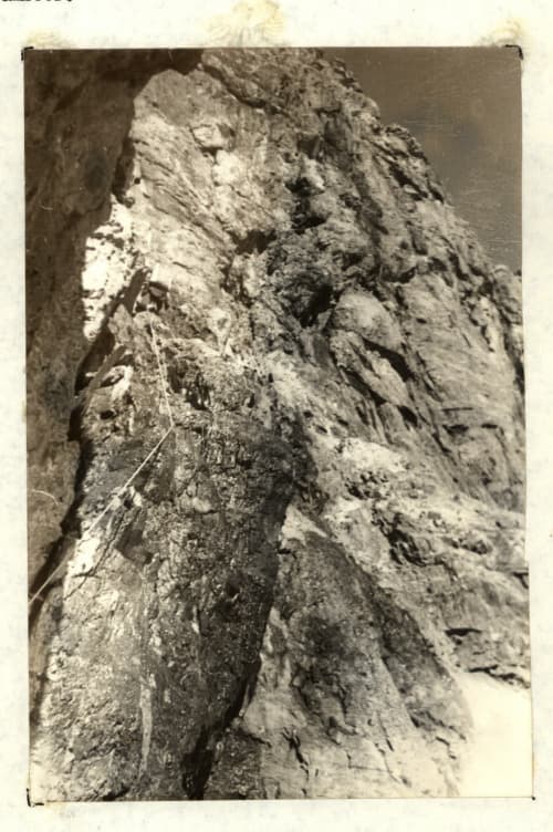 5_image_0.jpg