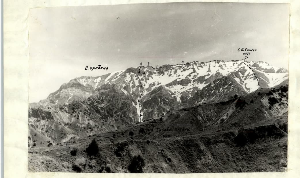 3_image_1.jpg