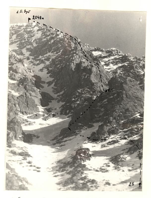 1_image_1.jpg