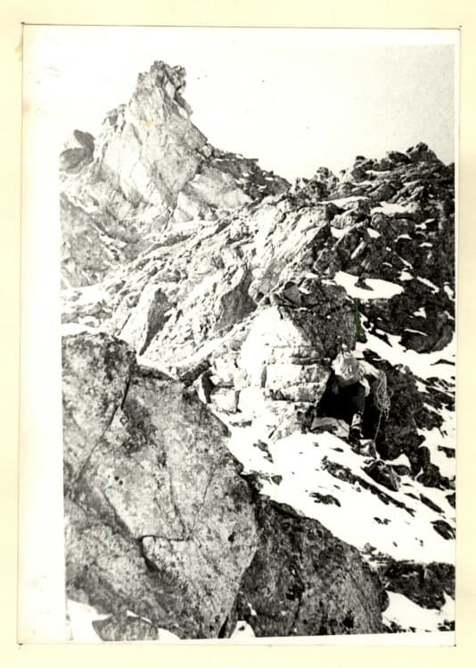 6_image_1.jpg