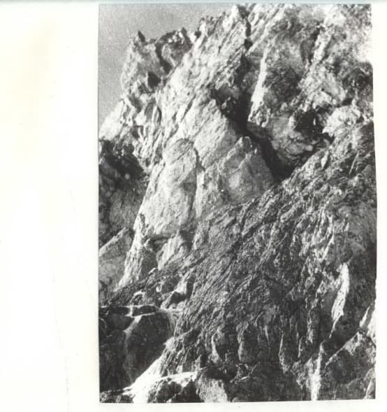 16_image_1.jpg