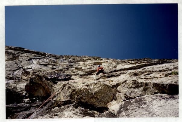 17_image_1.jpg