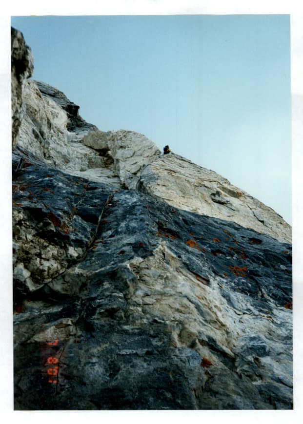 14_image_1.jpg