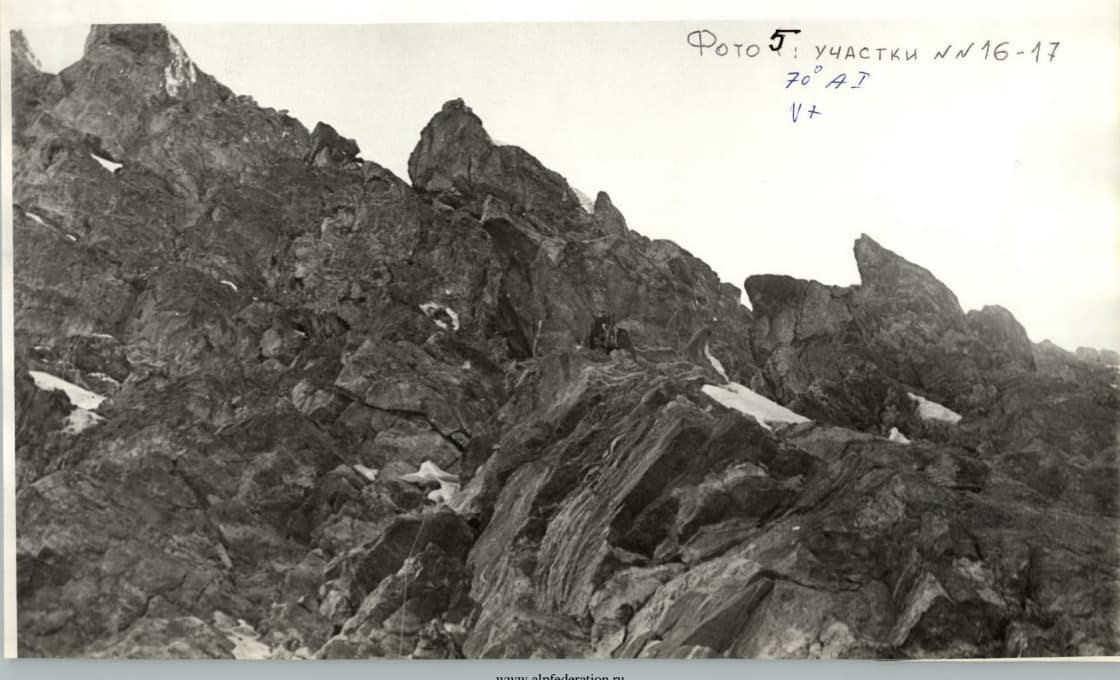 23_image_1.jpg
