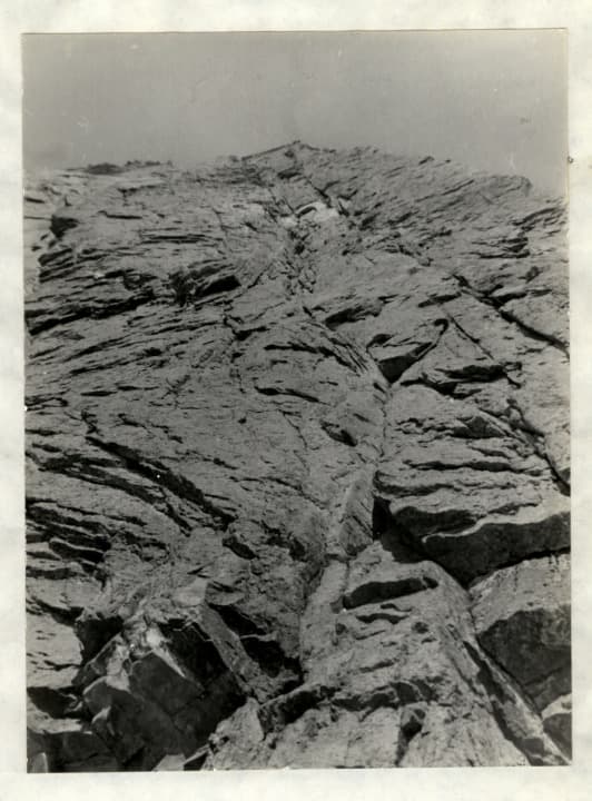 9_image_1.jpg