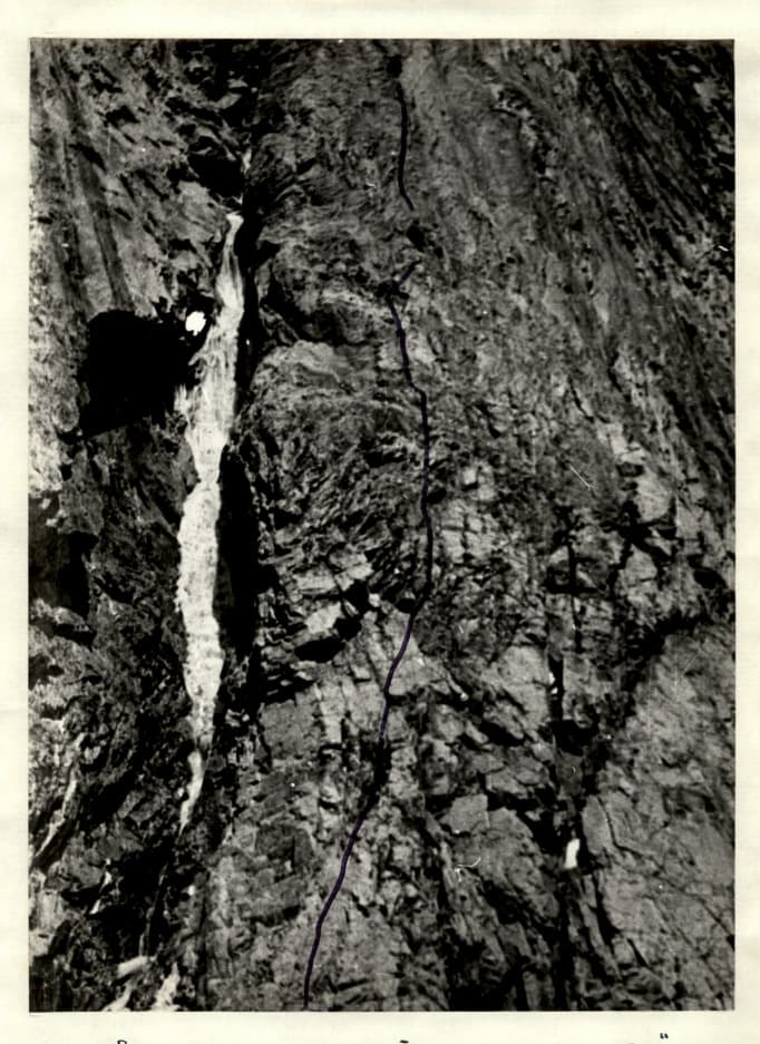 14_image_1.jpg