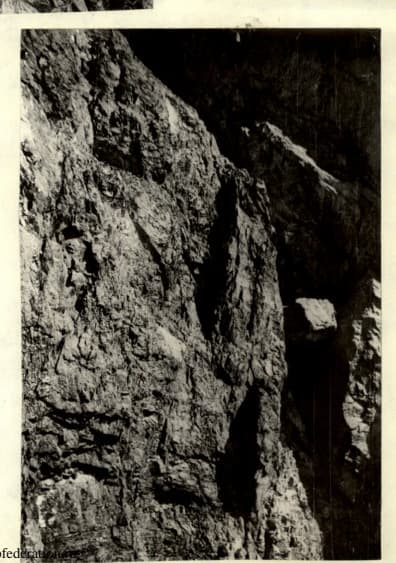 17_image_2.jpg
