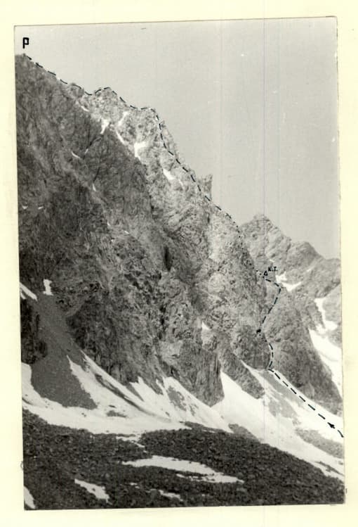 1_image_1.jpg
