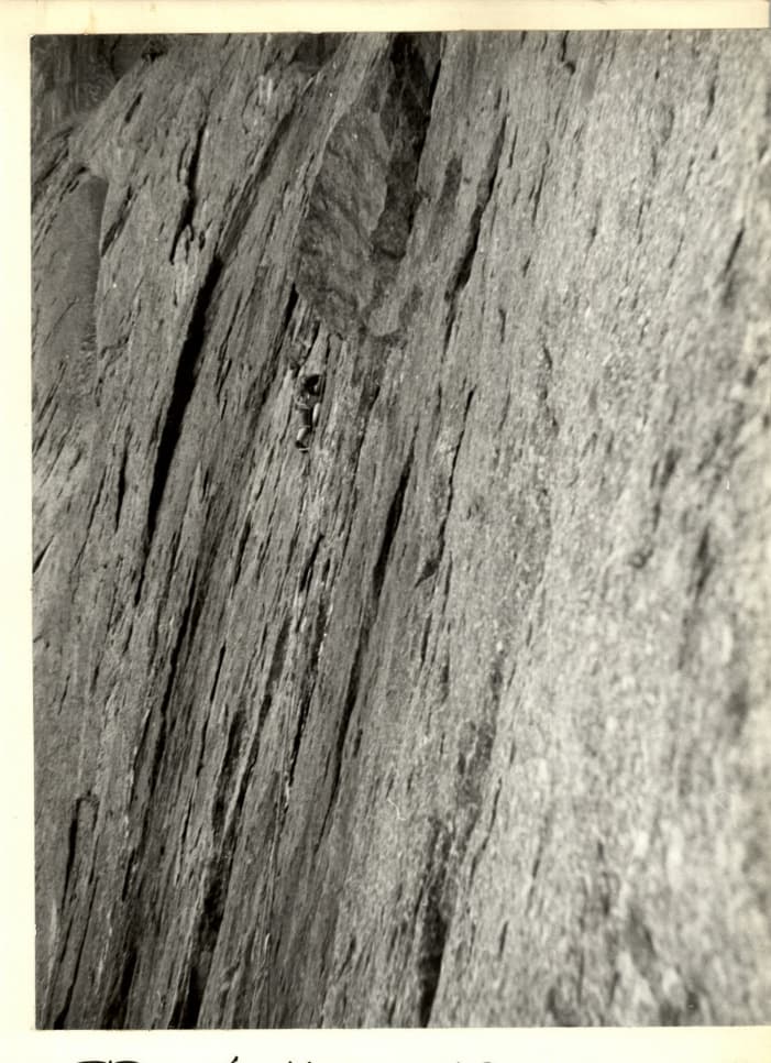 17_image_1.jpg