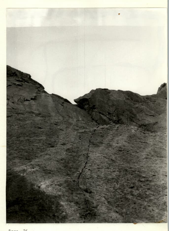 7_image_1.jpg