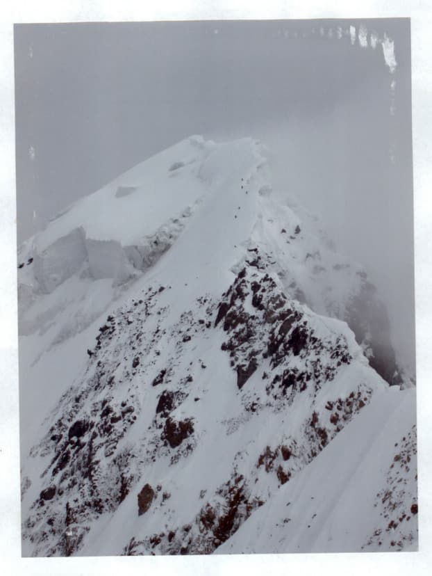 19_image_1.jpg