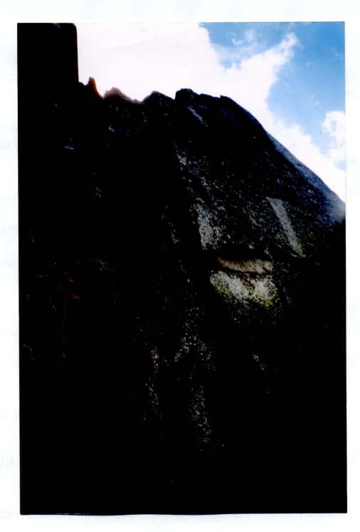 3_image_0.jpg